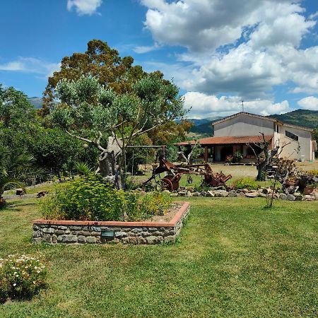 Cicerale Azienda Agrituristica Verdevalle מראה חיצוני תמונה