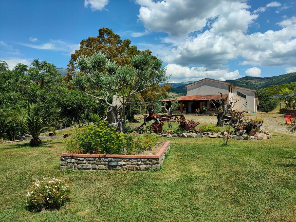Cicerale Azienda Agrituristica Verdevalle מראה חיצוני תמונה