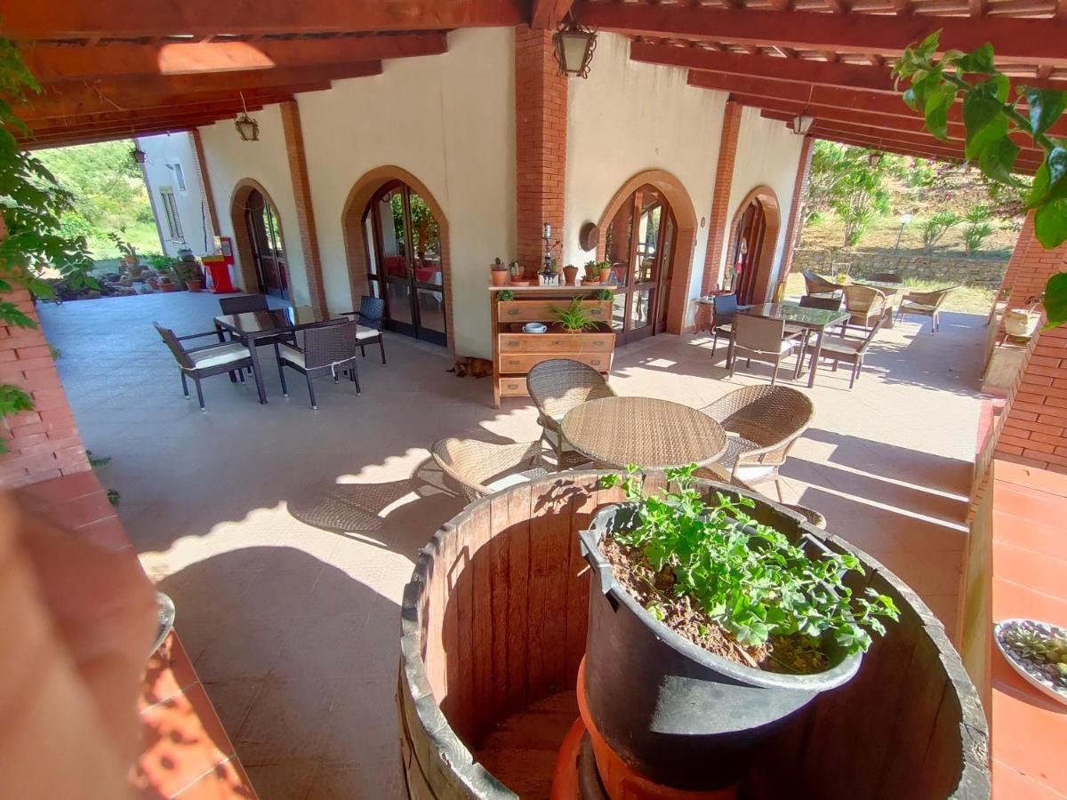 Cicerale Azienda Agrituristica Verdevalle מראה חיצוני תמונה