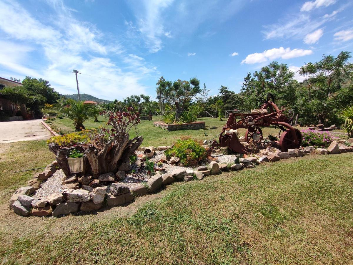 Cicerale Azienda Agrituristica Verdevalle מראה חיצוני תמונה